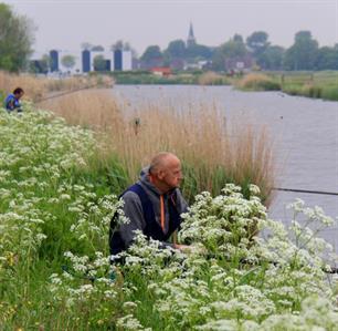 Deelname FKs en NOK 2017 