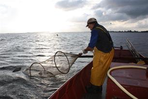 Fuiken lichten op Tjeukemeer