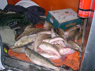 Grote pakkans voor natuurovertreding in Frysl&#226;n