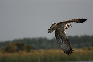 Grote schoonmaak Lauwersmeer