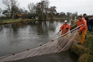 Jaarlijks visstandonderzoek Wetterskip Fryslân 