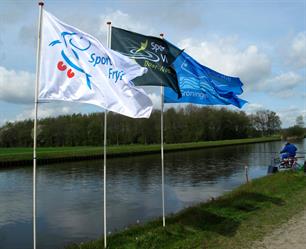 NOK 2019