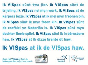 VISpas 2019