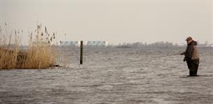 Vissen in het Lauwersmeer 