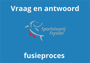 Vraag en antwoord fusie proces