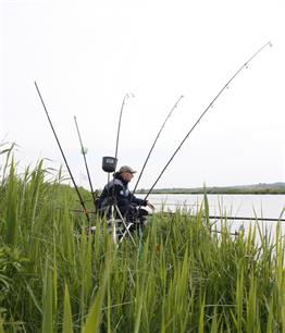 Wedstrijd deelnemerslijsten 2011