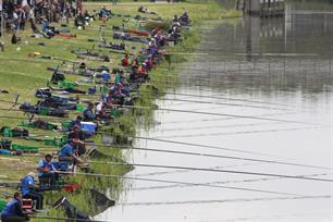 WK Almere; Fryske inbreng